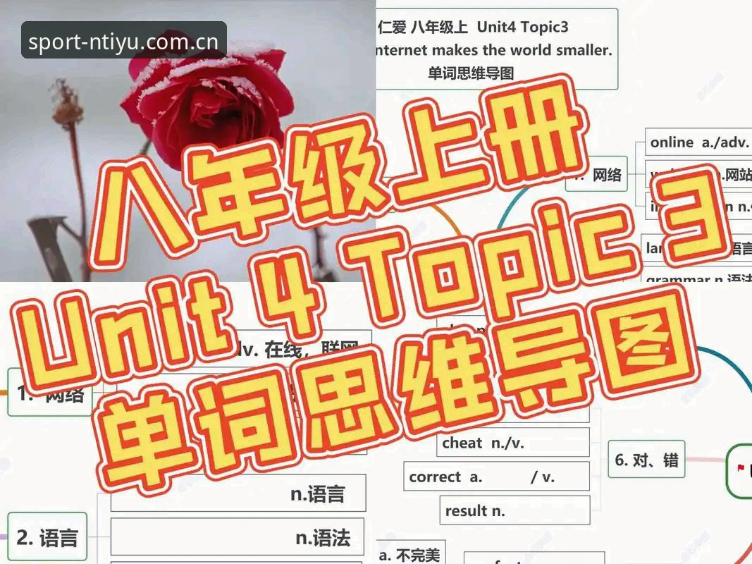 N体育平台8T3A全新体验深度解析：从下载到畅玩的完整指南