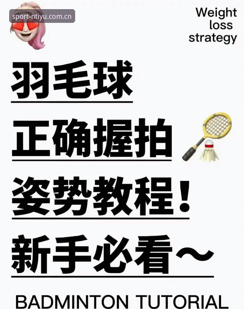 N体育平台安全使用指南：新手必看的完整教程与经验分享